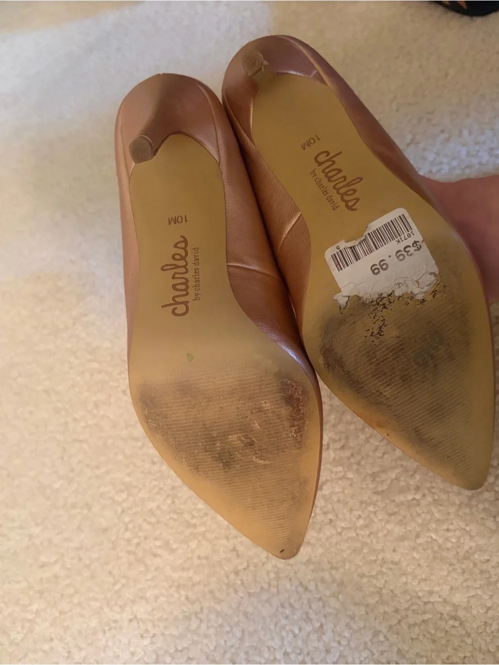 Charles David sleek pointed
